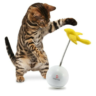 PetSafe　猫用電動おもちゃ　フローリーキャット　チャッター